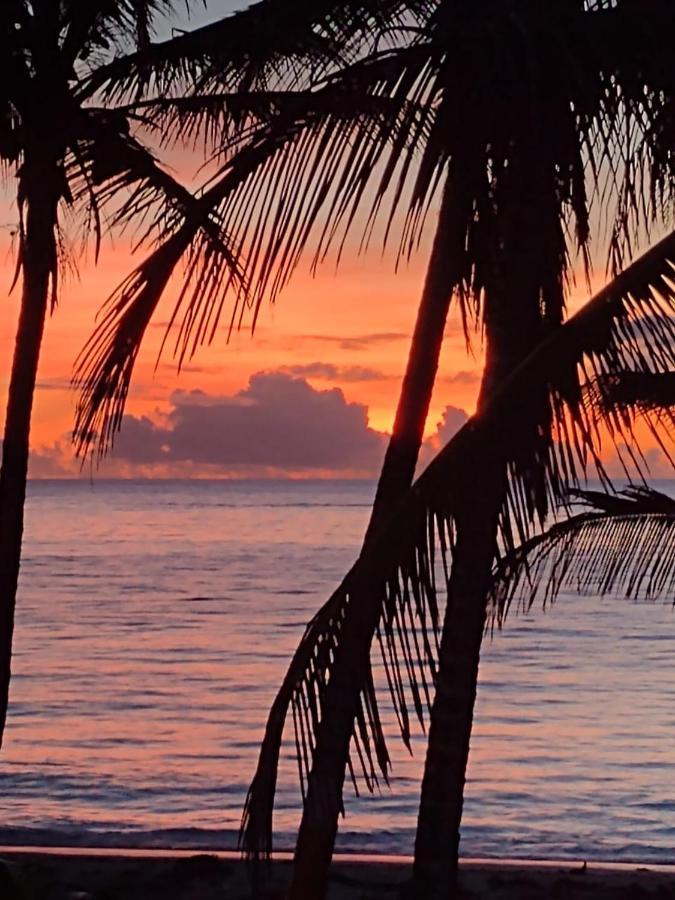 Sunny Beach Apartments San Andrés 外观 照片