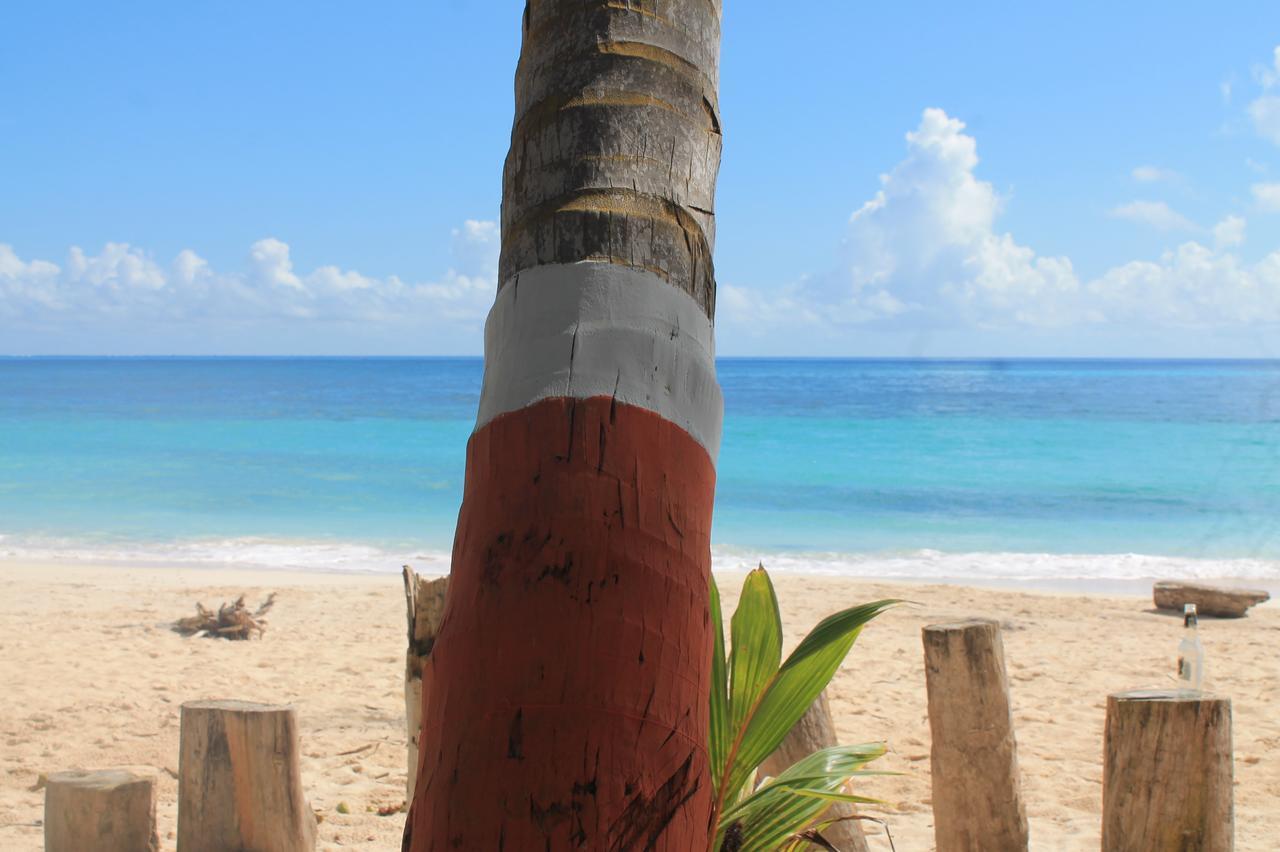 Sunny Beach Apartments San Andrés 外观 照片